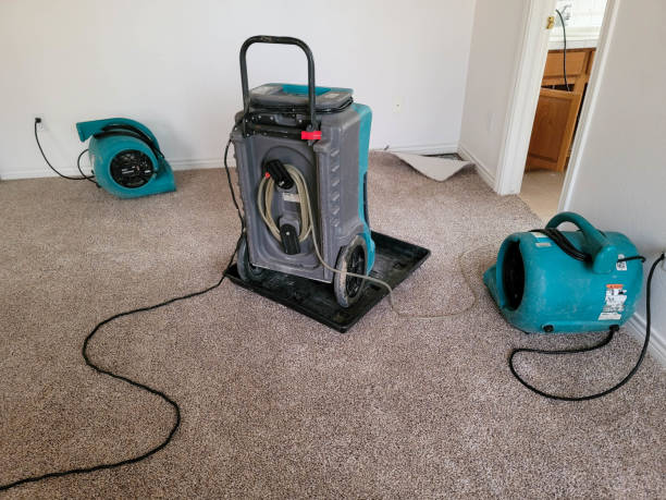 Best Flood restoration services  in Silver Hill, MD