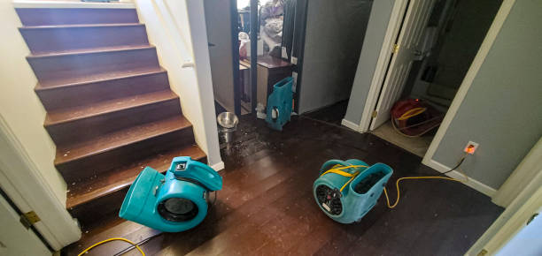 Best Water damage restoration insurance claims  in Silver Hill, MD