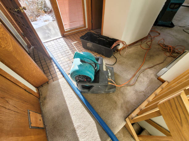 Best Basement water damage restoration  in Silver Hill, MD