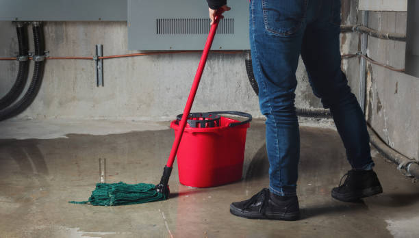 Best Emergency water damage restoration  in Silver Hill, MD