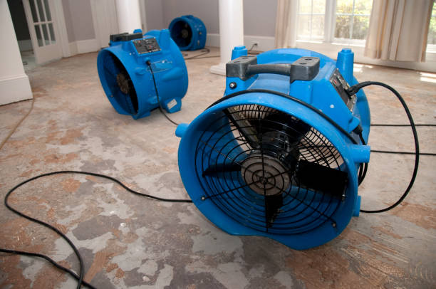 Sewage cleanup and water damage restoration in Silver Hill, MD