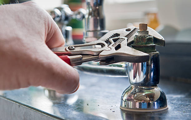 Best Flood damage cleanup  in Silver Hill, MD