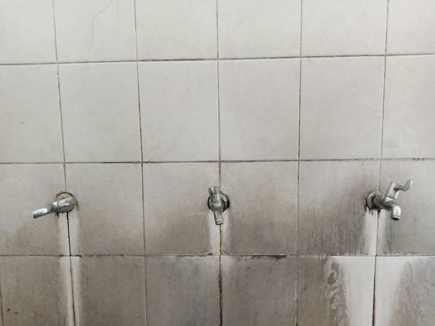 Best Professional water damage repair  in Silver Hill, MD