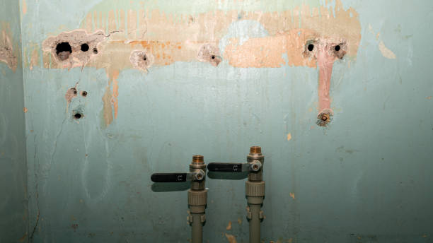 Best Water damage restoration services  in Silver Hill, MD