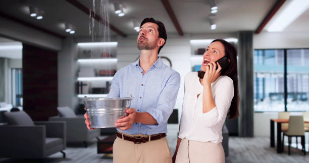 Best Water damage restoration near me  in Silver Hill, MD