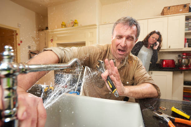 Best Sewage cleanup and water damage restoration  in Silver Hill, MD